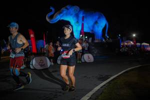 BIB: 
                            <button type="button" onclick="openModal(26551866)" class="btn btn-primary btn-sm float-right btn-popup" data-toggle="modal" data-target=".modal-high-quality">
                        <i class="fas fa-shopping-cart"></i> Add to Cart
                    </button>
                                            <button type="button" onclick="isThisMe(26551866, true)" class="btn btn-success btn-sm float-right btn-popup btn-isme hidden" data-toggle="tooltip" data-placement="bottom" title="นี่คือรูปของคุณใช่ไหม คลิกที่นี่เพื่อเอาเข้าอัลบั้ม">
                        <i class="fas fa-plus"></i> Add to album
                    </button>
                    <button type="button" onclick="isThisMe(26551866, false)" class="btn btn-warning btn-sm float-right btn-popup btn-isnotme hidden">
                        <i class="fas fa-ban"></i> Remove from album
                    </button>